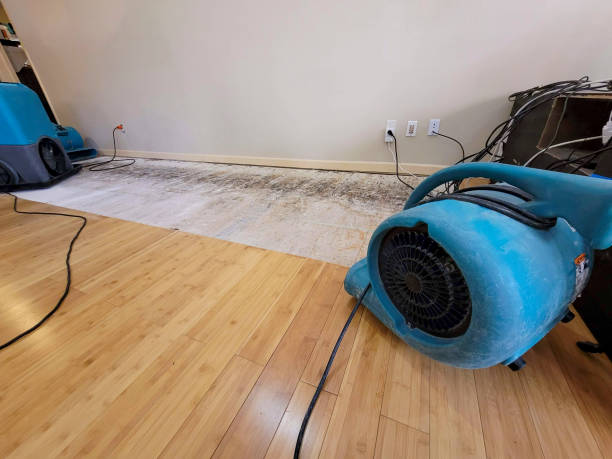 Professional Structural Drying technician working in Clarksville, TN